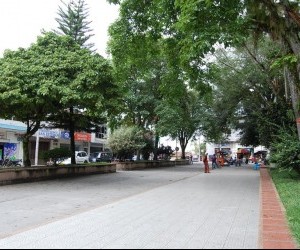 La Tebaida: Calle principal.  Fuente: www.panoramio.com - Foto por: giovafuentes